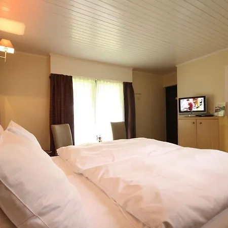 Hotel Val De L'our Burg Reuland